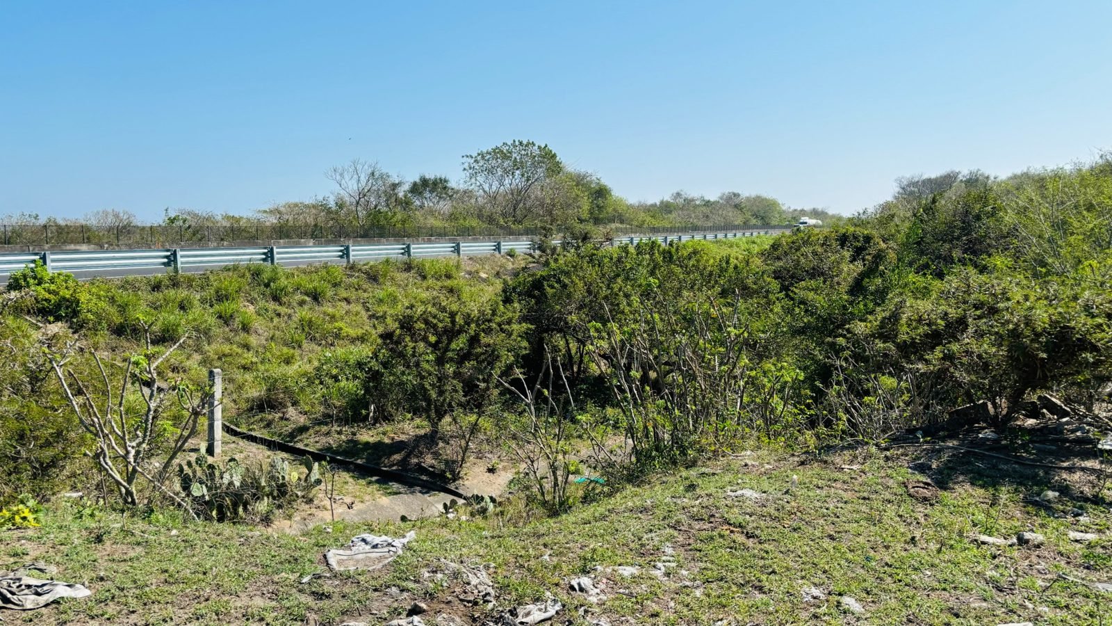 Foto 4 de Terreno de 2.5 hectáreas con frente a la Autopista Cardel–Veracruz