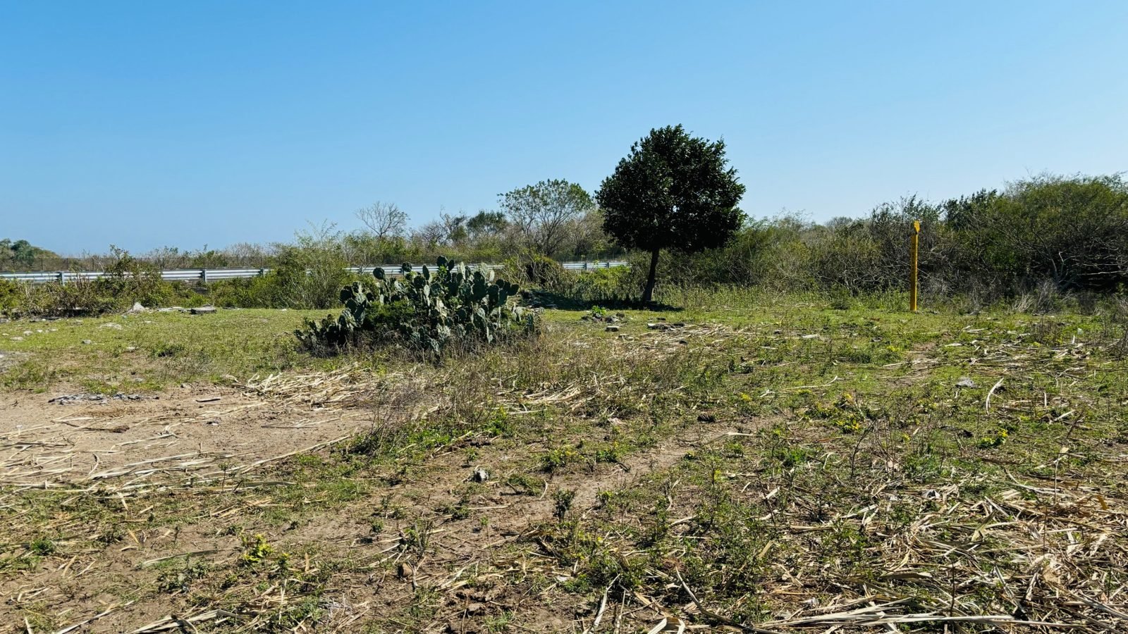 Foto 5 de Terreno de 2.5 hectáreas con frente a la Autopista Cardel–Veracruz