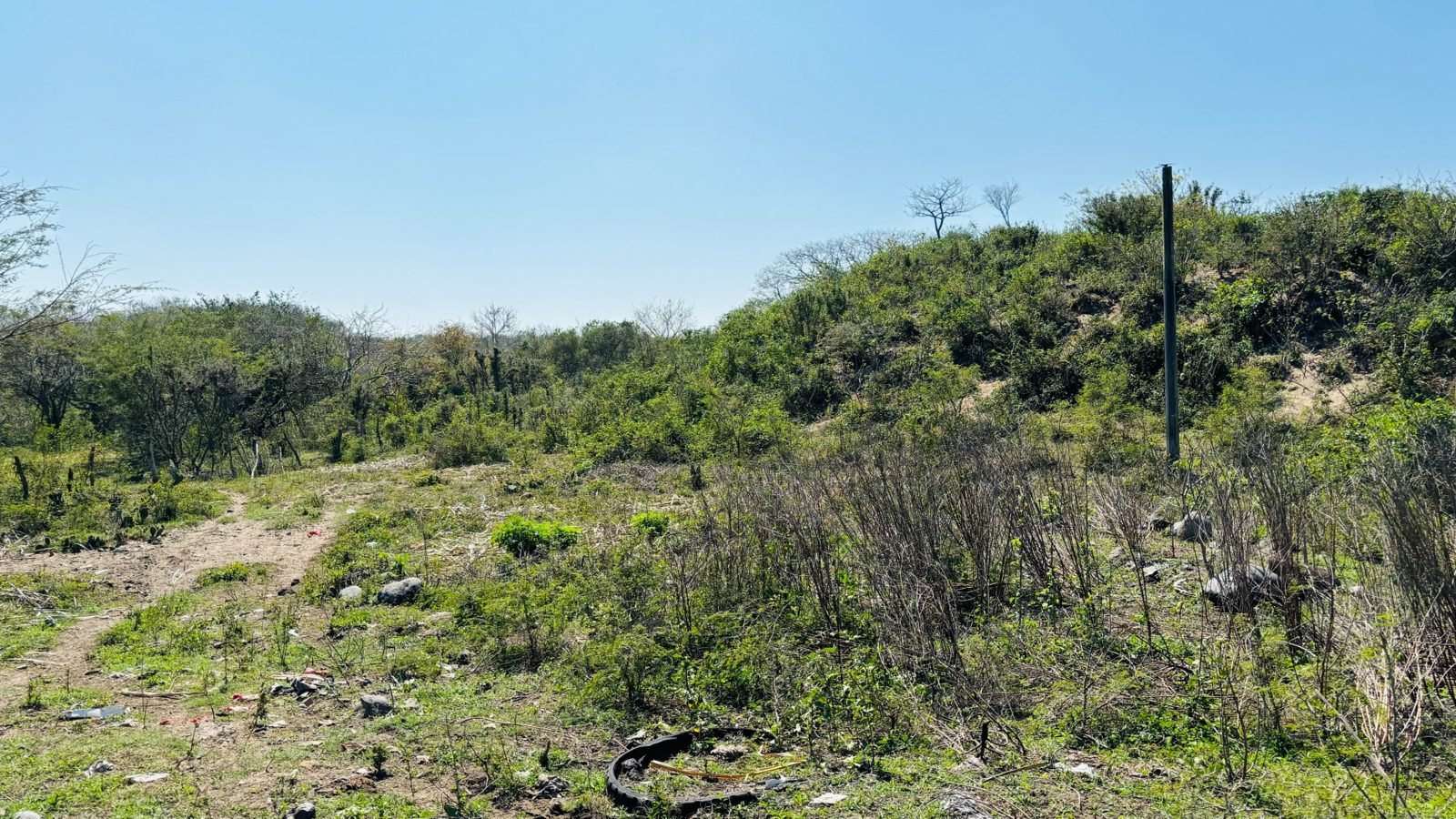 Foto 6 de Terreno de 2.5 hectáreas con frente a la Autopista Cardel–Veracruz