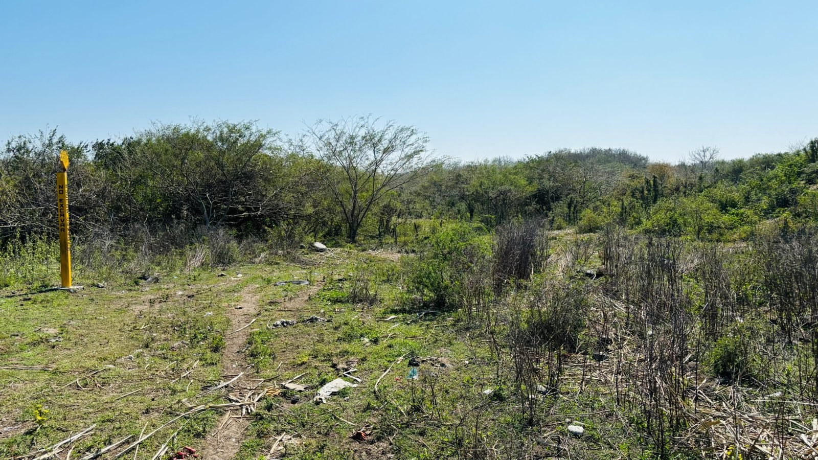 Foto 7 de Terreno de 2.5 hectáreas con frente a la Autopista Cardel–Veracruz