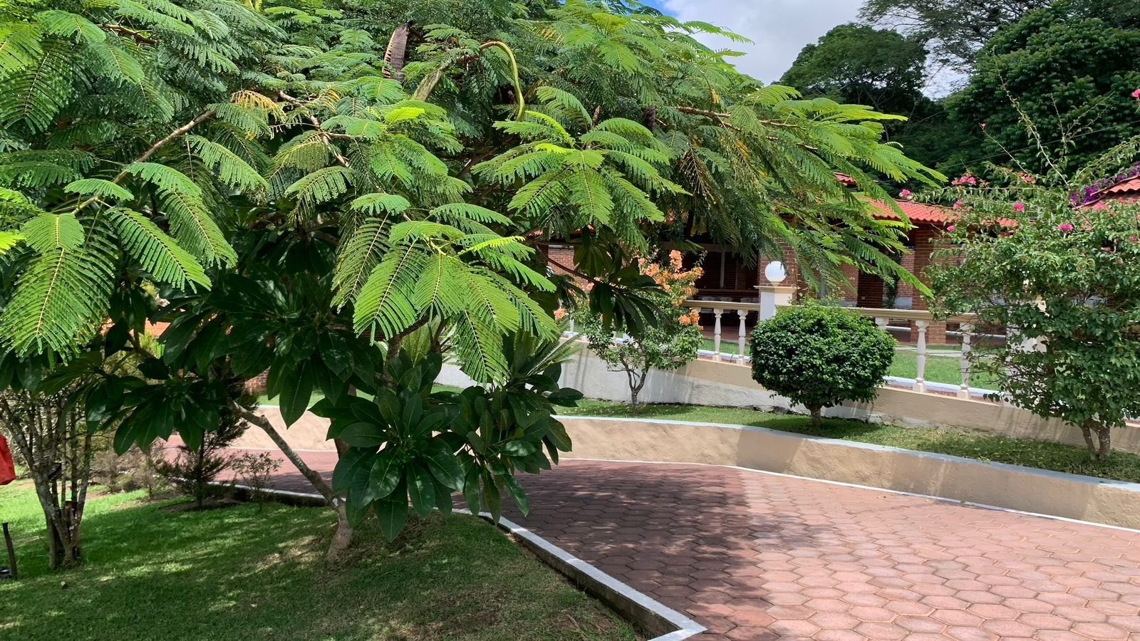 Foto 20 de Casa campestre con jardín y palapa en 1 hectárea, a 10 minutos de Xalapa