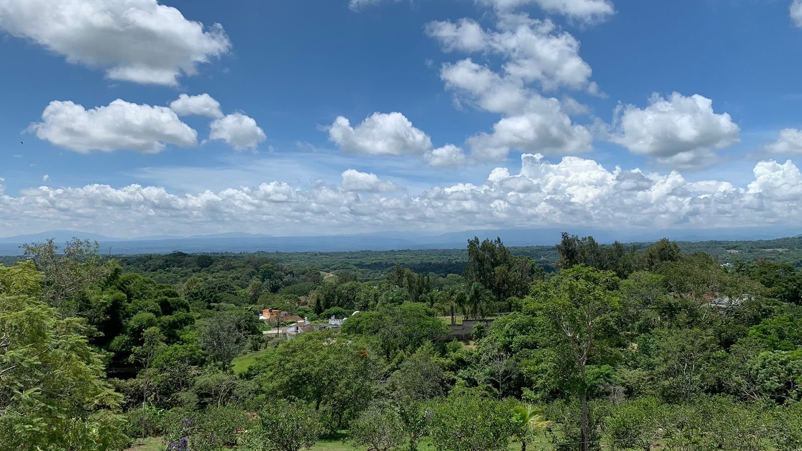 Foto 22 de Casa campestre con jardín y palapa en 1 hectárea, a 10 minutos de Xalapa