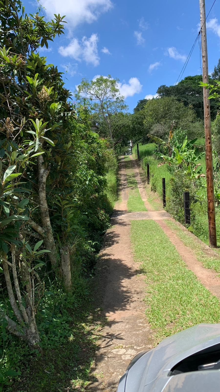 Foto 24 de Casa campestre con jardín y palapa en 1 hectárea, a 10 minutos de Xalapa