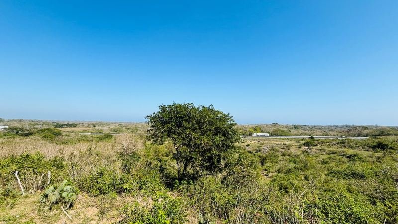 Terreno de 2.5 hectáreas con frente a la Autopista Cardel–Veracruz
